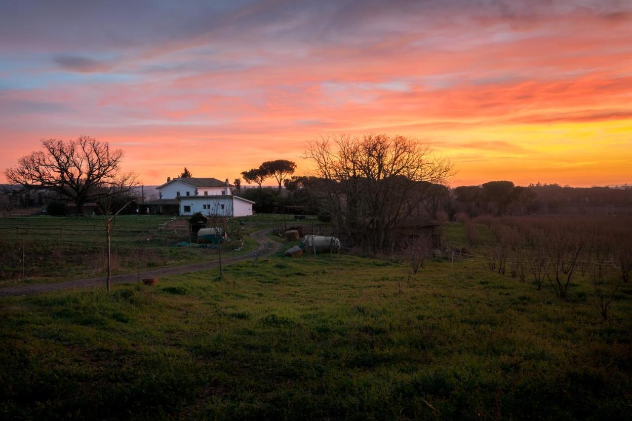 Agriturismo Il Poggio Vetralla Exterior photo