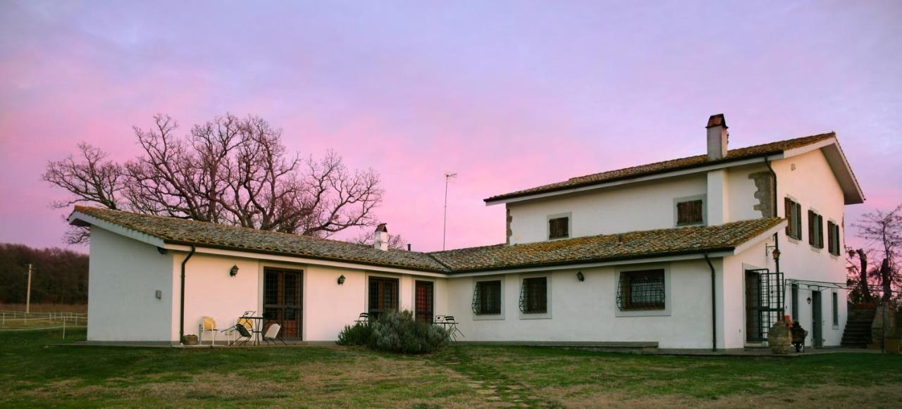 Agriturismo Il Poggio Vetralla Exterior photo