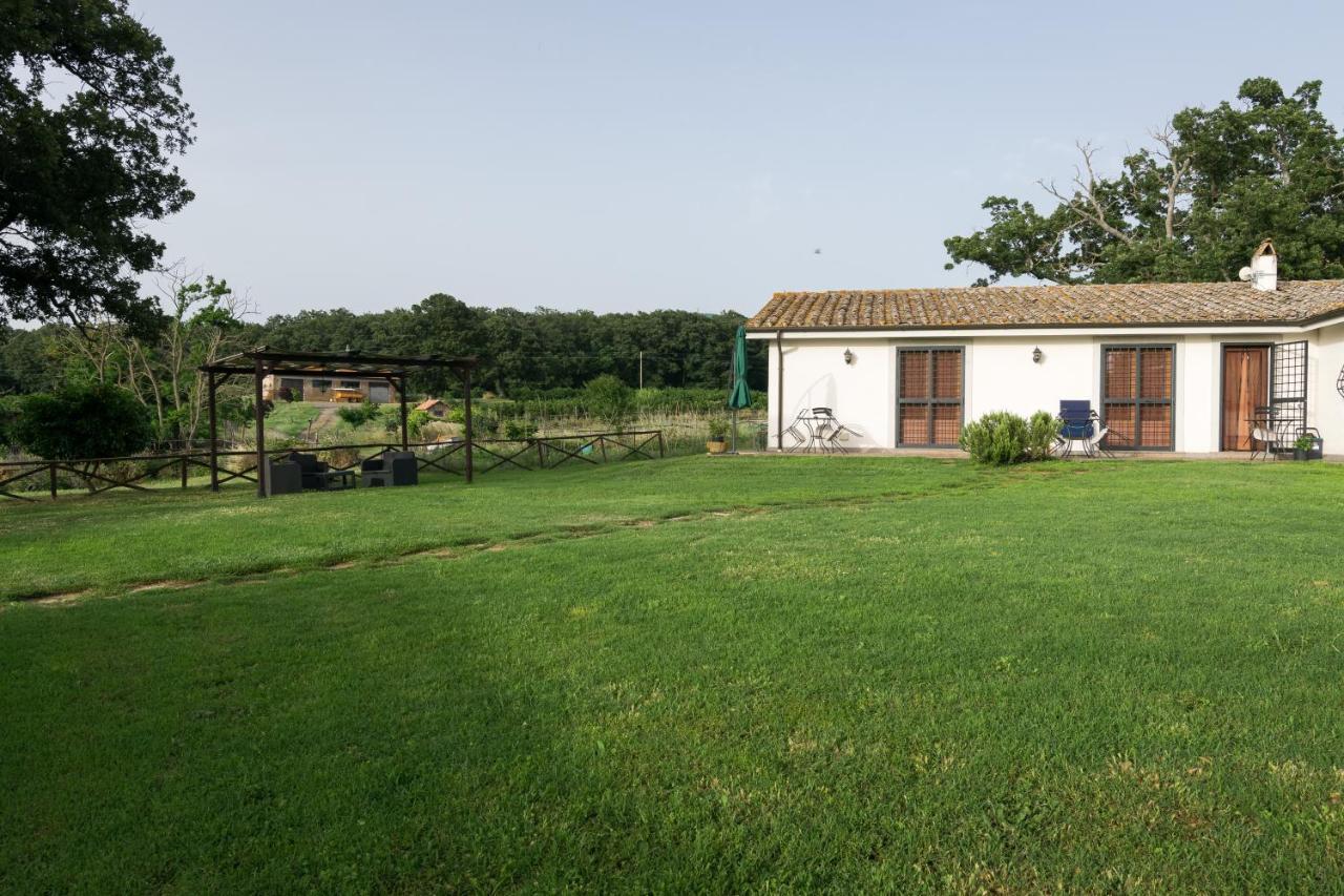 Agriturismo Il Poggio Vetralla Exterior photo