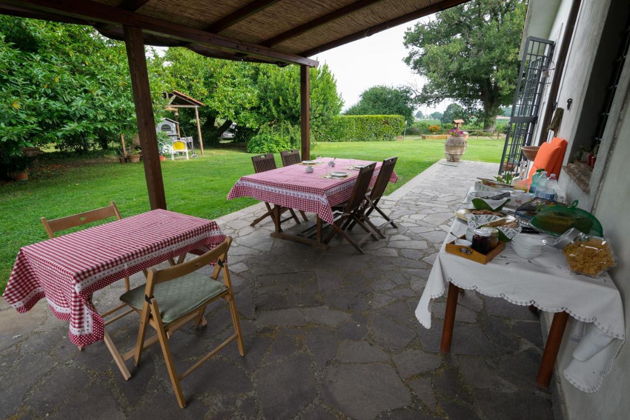 Agriturismo Il Poggio Vetralla Exterior photo