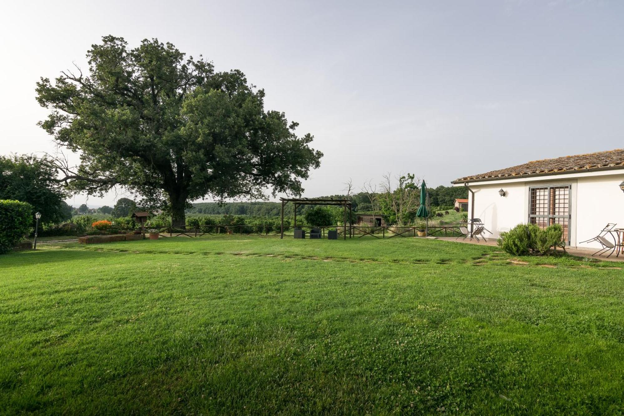 Agriturismo Il Poggio Vetralla Exterior photo